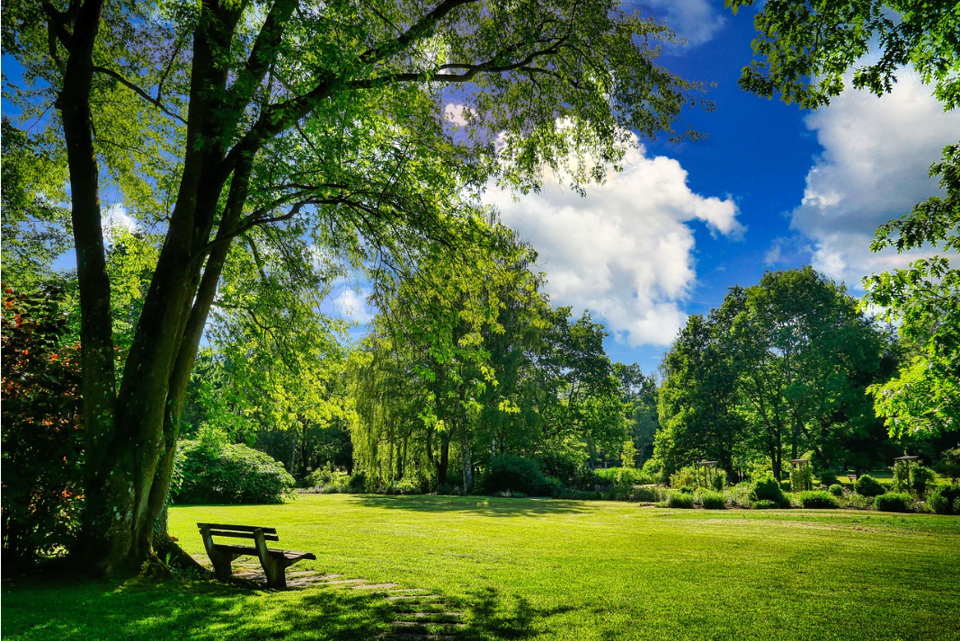 A beautiful sunny park with trees, grass, flowers, a path, and a bench